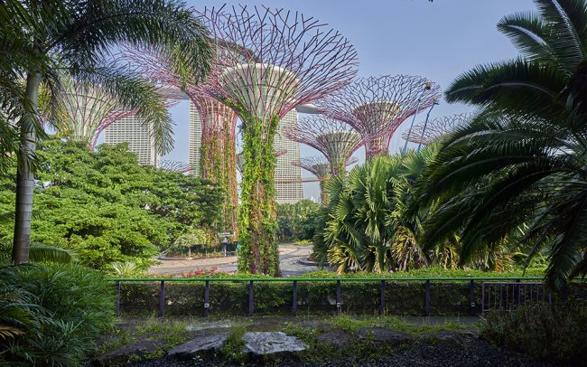 SuperTree275cm